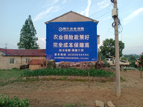 池州墙体广告的优劣势你知道吗？